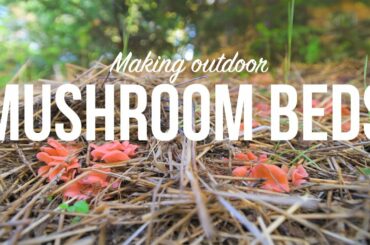 Outdoor Mushroom Beds- The Easiest Way to Grow Edible Mushrooms in Your Garden or Back Yard!