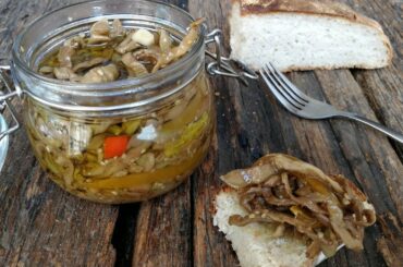 EGGPLANT PRESERVED IN OLIVE OIL Italian recipe