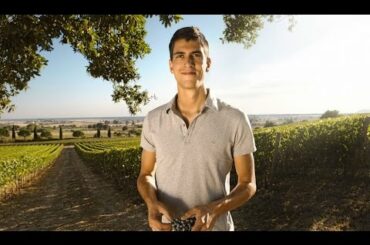 Monteverro's wines - Italy Tuscany - Millésima