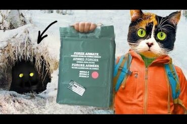 We’ve Been Robbed in Forest While Filming Italian MRE!)