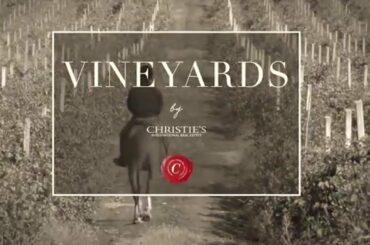 VINEYARDS, WINERY FOR SALE ITALY, TUSCANY,PIEDMONT, CHIANTI ,BAROLO, BRUNELLO DI MONTALCINO