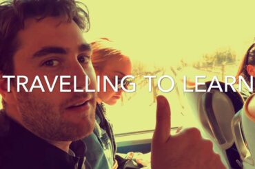 Wine excursion at Falesco and INTRECCI, Italy