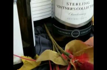 Little Italy pasta bar