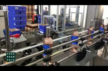 Our Rosé 2019 is now ready