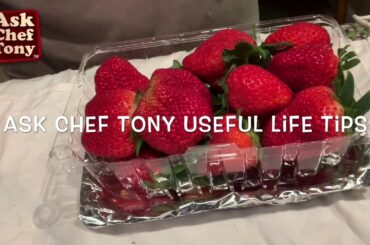 How To Start An Italian Herb Garden From Seeds