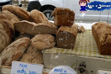 Siena Italy Day 2 시에나 이탈리아 투스카니 - Travel to Italy