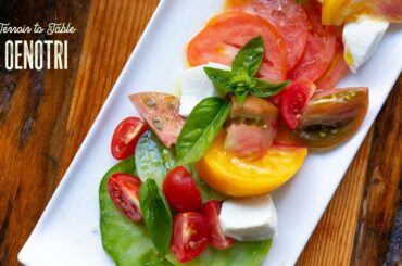 Terroir to Table: Oenotri