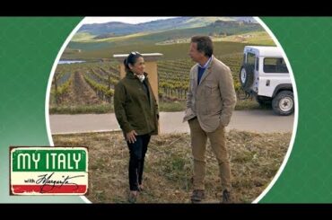 My Italy with Margarita at Tasca d'Almerita, Palermo, Sicily