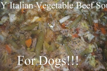 DIY Italian Vegetable Beef Soup For Dogs!