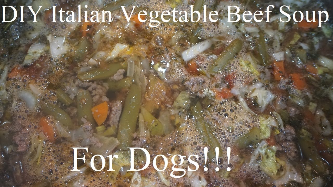 DIY Italian Vegetable Beef Soup For Dogs! DIY Italian Vegetable Beef Soup For Dogs!