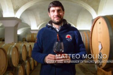 WinesCritic.com - Matteo Molino talks about Mauro Molino in La Morra, Barolo.