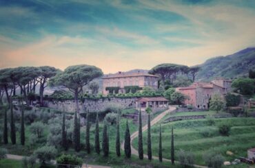 Tenuta di Valgiano 2015 #107