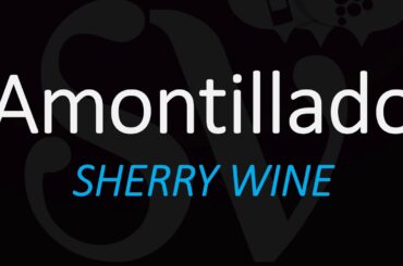 What is Amontillado Sherry Wine? How to Pronounce? Spanish Pronunciation