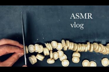 [ ASMR ] 「 vlog 」How to cook Antipasto