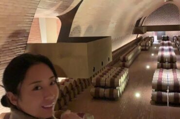 🇮🇹フィレンツェ旅行　アンティノリ　ワイナリー 訪問 ||| Florence ANTINORI Wine