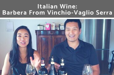 Italian Wine: Barbera from Vinchio-Vaglio Serra