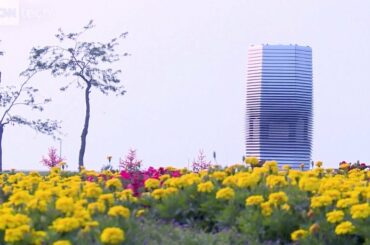 Smog-eating tower cleans Beijing's air