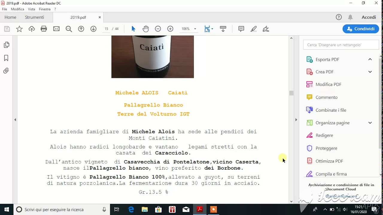 Sensory 2019 Wine Tasting Sensory 2019 Wine Tasting