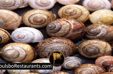 One Billion Snails Are Served in Restaurants | Food Facts | Poulsbo Restaurants