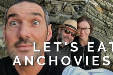 Where to eat in the Cinque Terre - Anchovies in Vernazza!