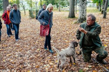 Small Group Truffle Hunting and Wine Experience from Florence