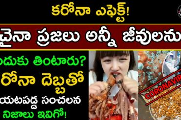 Why People Eat All Type Of Animals In China l కరోనా దెబ్బతో బయటపడ్డ సంచలన నిజాలు ఇవిగో !