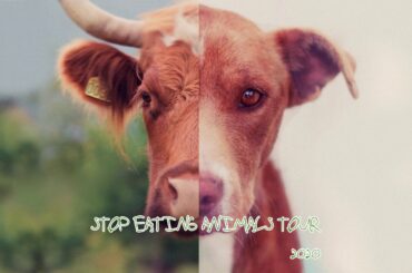 STOP EATING ANIMALS TOUR 2020