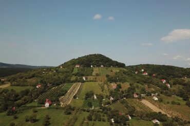 Southern Italy wine country