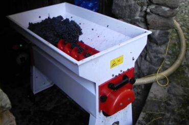 イタリア・ワイン造りの現場～How to make italian wine～