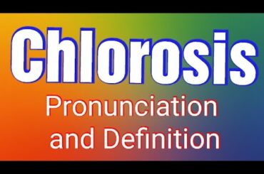 Chlorosis : Pronunciation and Definition ||Gangwar Institute||