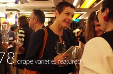 MyiCellar Internship - Videography - Vino Condivino 2019 highlight