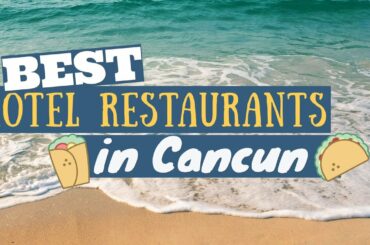 Top 5 Restaurants in Resorts 🍴Cancun 2020 🍴