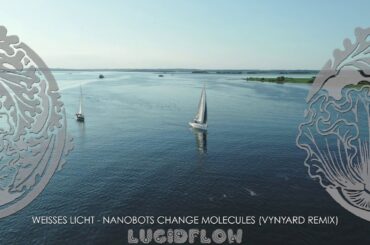Weisses Licht - Nanobots Change Molecules (Vynyard Remix) [Lucidflow]