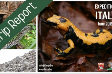 Trip Report: Expedition Italy 2019