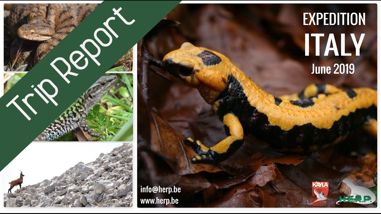 Trip Report: Expedition Italy 2019 Trip Report: Expedition Italy 2019