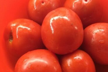 Friday with Mateo, Edition #7 Italian "Love Sauce" w/pasta  and toasted garlic bread (Italy Cuisine)