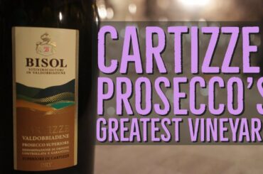 The Greatest Prosecco Vineyard: Cartizze