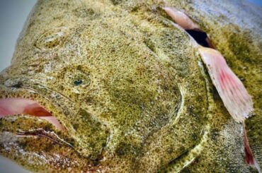 Domaine de la Romanée - Conti #Event Restaurant Medici #Frankfurt #Wine #FineDining #LaTache #DRC