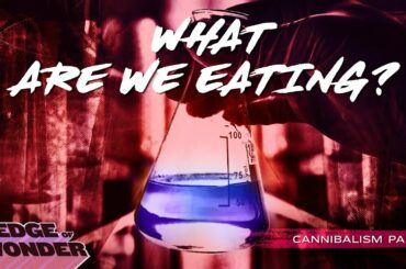 What Are We Really Eating? Exposing the Food Industry!