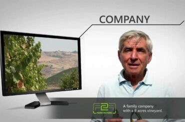 RFID F2F Wine pilot Vigne Mastrodomenico (University of Salento, ITALY)