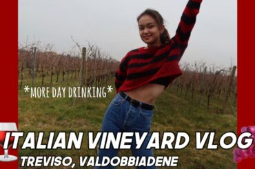 Italian Vineyard Vlog - Valdobbiadene (*more day drinking* ish)