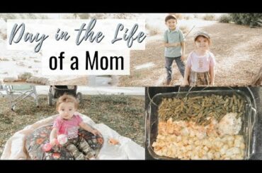 Gone Fishing | New Haircut | Italian Chicken Bake Recipe | Day In The Life | 2.9.20 | DandV's Family