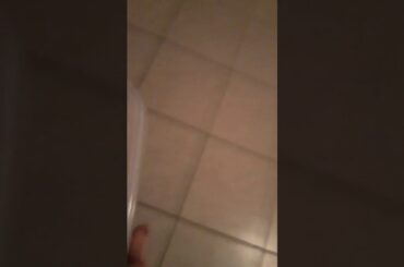 Italian Melted Mozzarella|The Roxy Cooking Show!