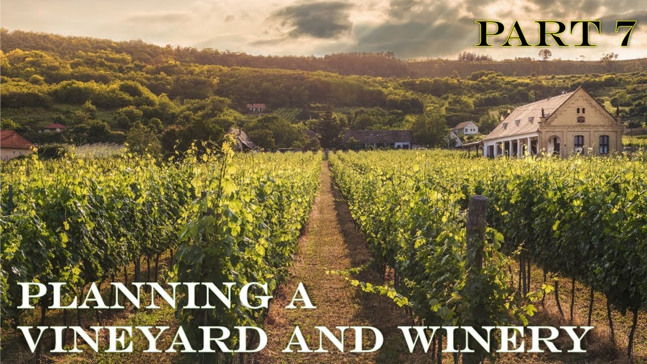 Part 7: Planning a Vineyard and Winery Part 7: Planning a Vineyard and Winery