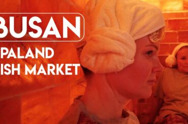 SPA LAND BUSAN Korea, Eating RAW Octopus in FISH MARKET natural kaos 4K 먹방