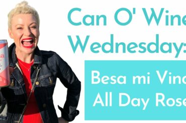 Besa mi Vino: Vegan Organic Canned Wine Review