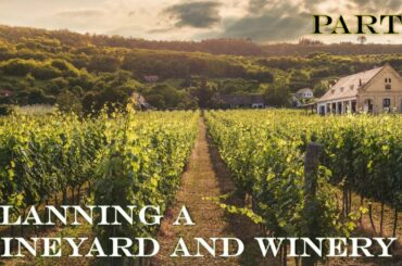 Part 4: Planning a Vineyard and Winery
