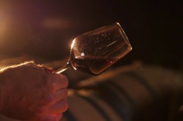 Lungarotti wine estates - Torgiano & Montefalco Umbria