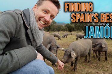 Where Does Spain's Best Jamón Come From?