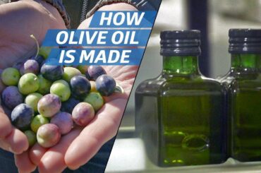How Olive Oil Is Farmed and Processed at the Country's Biggest Producer — How to Make It